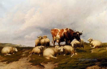  animal Obras - Una vaca y una oveja en los acantilados animales de granja ganado Thomas Sidney Cooper